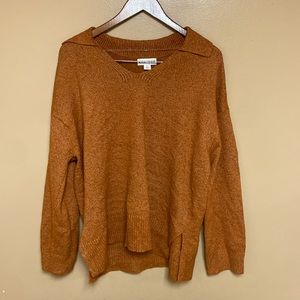 NWOT Ava & Viv Collared Sweater